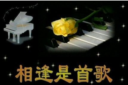 <<其它帖子 查看回复 相逢是首歌[管理]